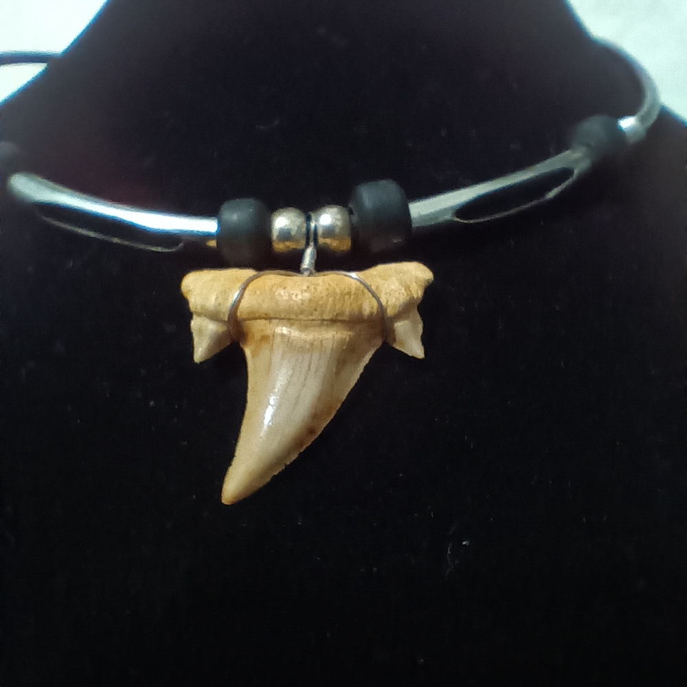 Shark tooth necklace